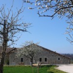 Village-La salle polyvalente et la Place des cerisiers
