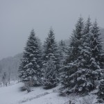 neige2016-Fabras (2)